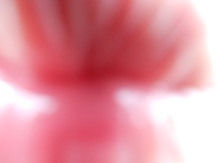 Hallenbau Glotzdorf_34